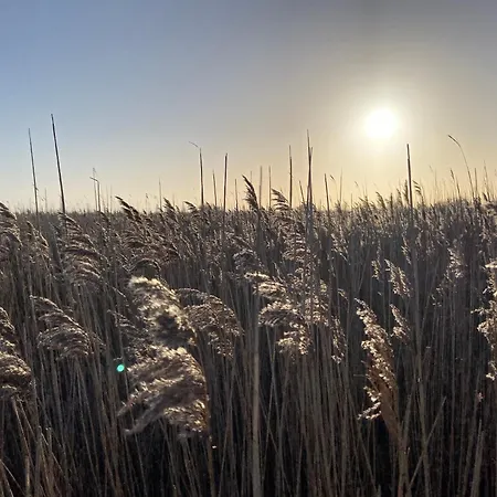 Strandliebe Fh3 Feriehus *